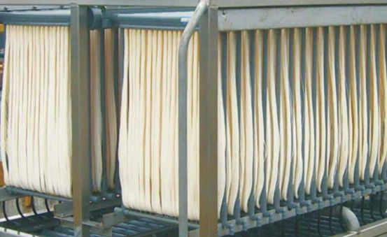 news-553-339 news-553-339